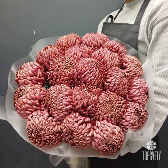 Букет из 21 коралловых одноголовых хризантем Россия