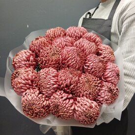 Букет из 21 коралловых одноголовых хризантем Россия