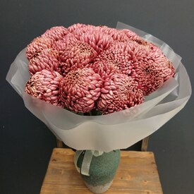 Букет из 21 коралловых одноголовых хризантем Россия