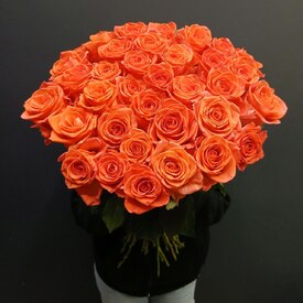 Букет из 35 роз Кения 50см