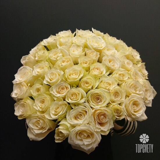 Букет из 51 белой розы Кения 50см
