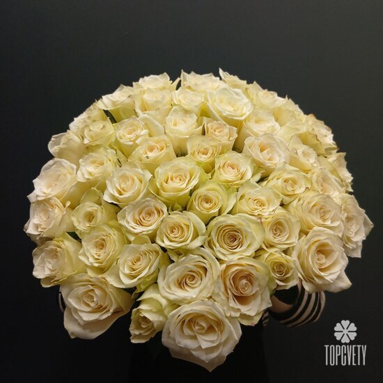 Букет из 51 белой розы Кения 50см