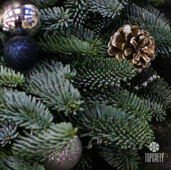 Новогодняя композиция №5