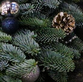 Новогодняя композиция №5