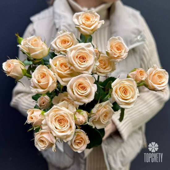 Букет из 5 кремовых кустовых роз 50см