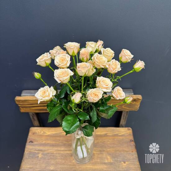 Букет из 7 кремовых  кустовых роз 50см