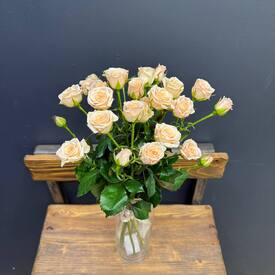 Букет из 7 кремовых  кустовых роз 50см