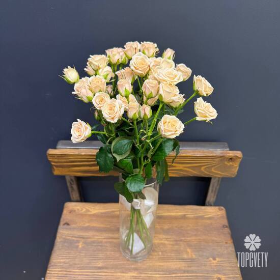 Букет из 9 кремовых кустовых роз 50см	