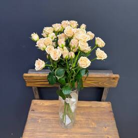 Букет из 9 кремовых кустовых роз 50см	