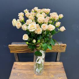 Букет из 11 кремовых кустовых роз 50см