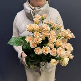  Букет из 13 кремовых кустовых роз 50см