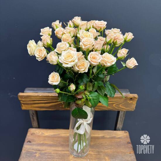  Букет из 13 кремовых кустовых роз 50см