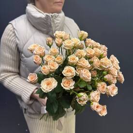  Букет из 15 кремовых кустовых роз 50см