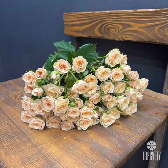  Букет из 15 кремовых кустовых роз 50см