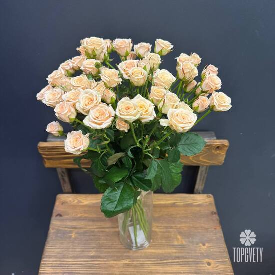  Букет из 15 кремовых кустовых роз 50см