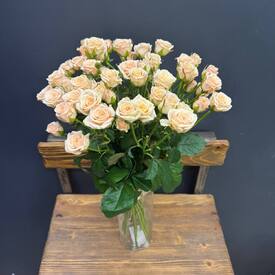  Букет из 15 кремовых кустовых роз 50см