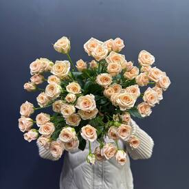  Букет из 15 кремовых кустовых роз 50см