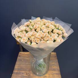  Букет из 51 кремовых кустовых роз 50см