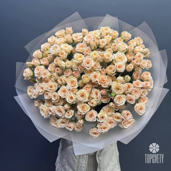  Букет из 51 кремовых кустовых роз 50см
