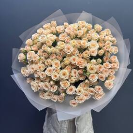  Букет из 51 кремовых кустовых роз 50см