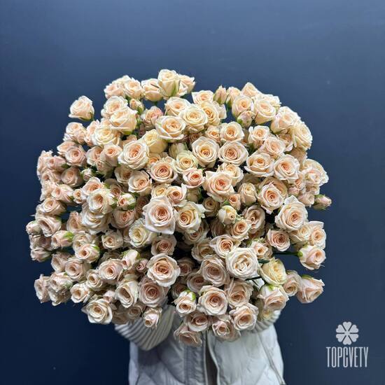  Букет из 51 кремовых кустовых роз 50см