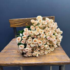  Букет из 51 кремовых кустовых роз 50см