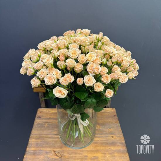  Букет из 51 кремовых кустовых роз 50см