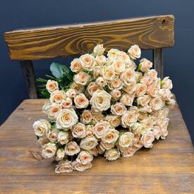 Букет из 35 кремовых кустовых роз 50см