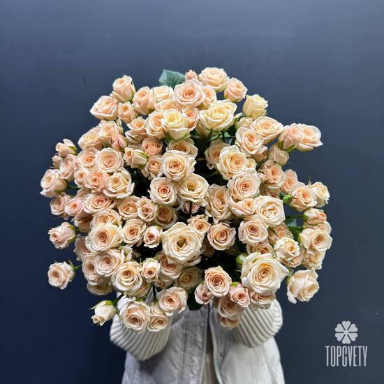 Букет из 35 кремовых кустовых роз 50см