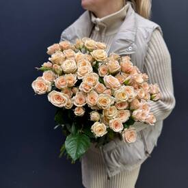 Букет из 25 кремовых кустовых роз 50см