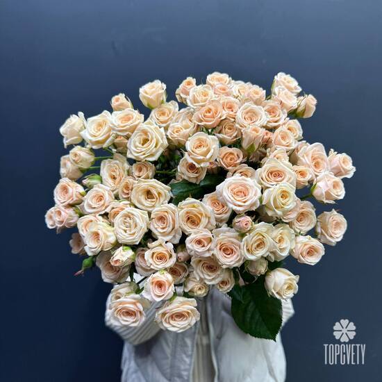 Букет из 25 кремовых кустовых роз 50см