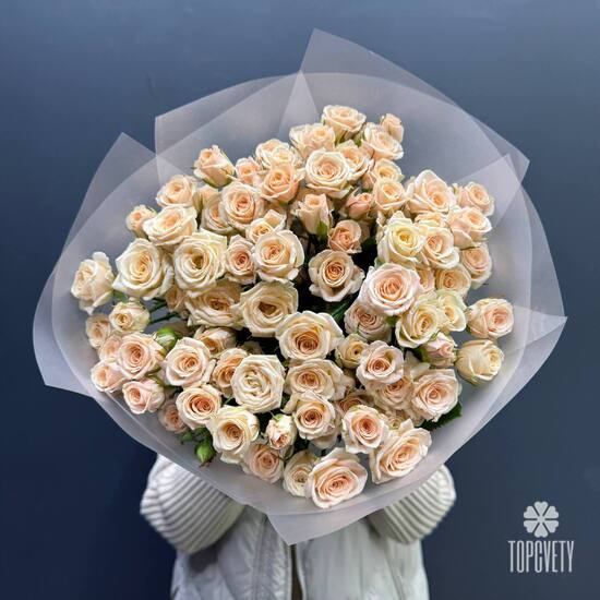 Букет из 25 кремовых кустовых роз 50см