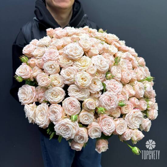 Букет из 51 розовых кустовых пионовидных роз 50см