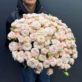 Букет из 51 розовых кустовых пионовидных роз 50см