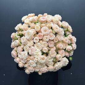 Букет из 35 розовых кустовых пионовидных роз 50см