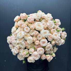 Букет из 25 розовых кустовых пионовидных роз 50см