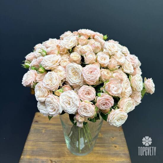 Букет из 25 розовых кустовых пионовидных роз 50см