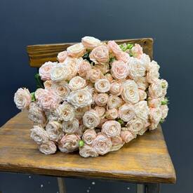 Букет из 25 розовых кустовых пионовидных роз 50см