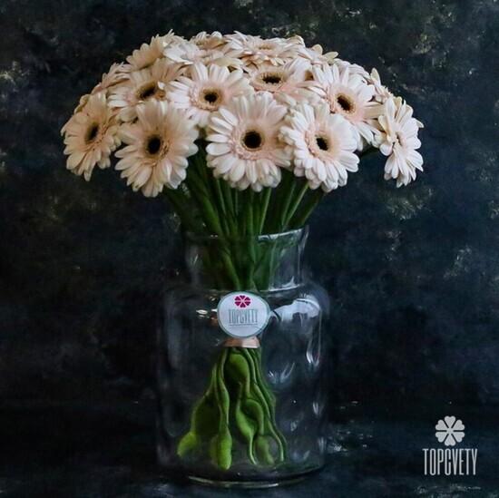 Букет из 21 кремовой герберы