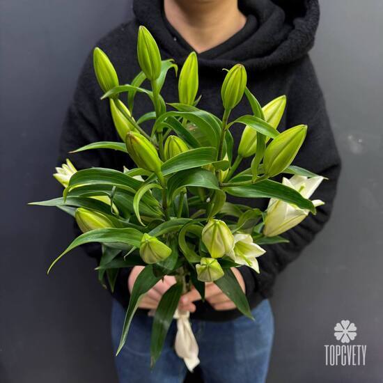 Букет из 3 белых Лилий