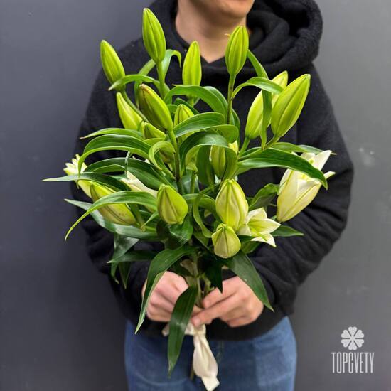 Букет из 3 белых Лилий