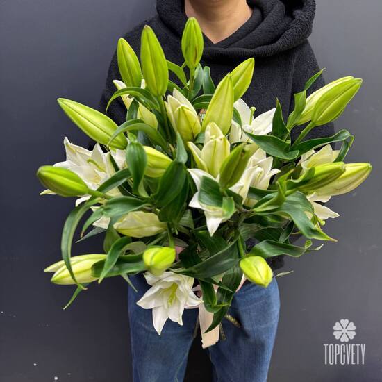 Букет из 5 белых Лилий