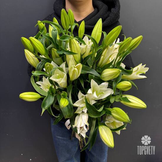 Букет из 7 белых Лилий