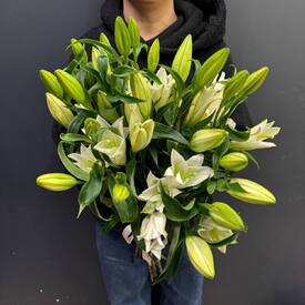 Букет из 7 белых Лилий
