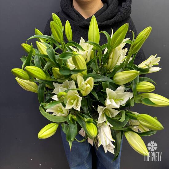 Букет из 7 белых Лилий