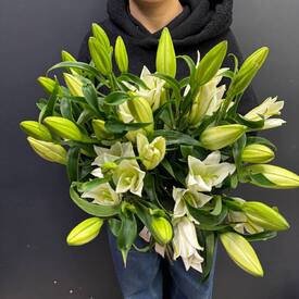 Букет из 7 белых Лилий
