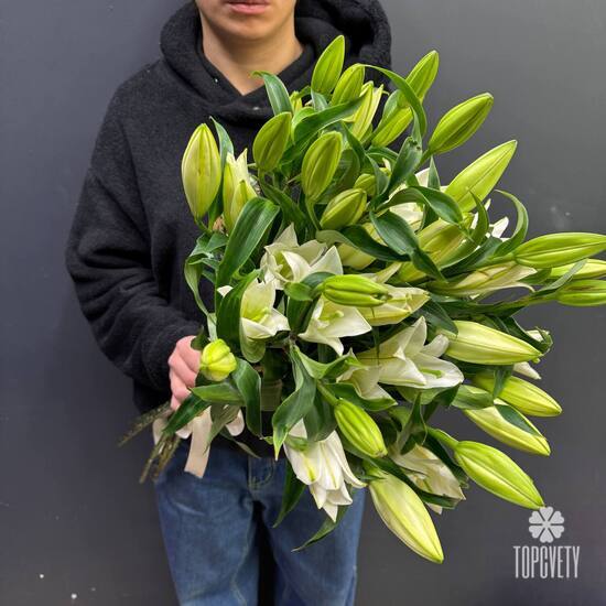 Букет из 7 белых Лилий
