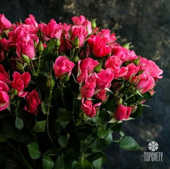 Букет из 21 кустовой розы 50см