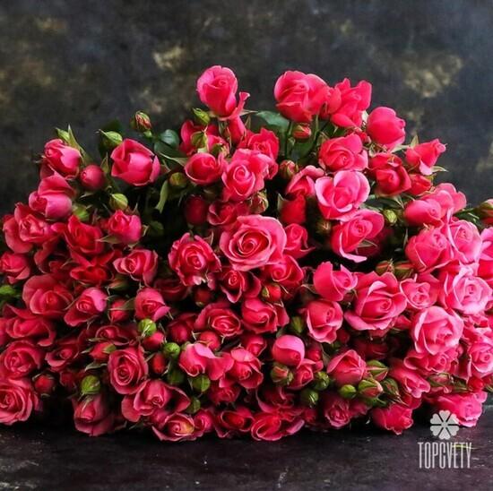 Букет из 21 кустовой розы 50см