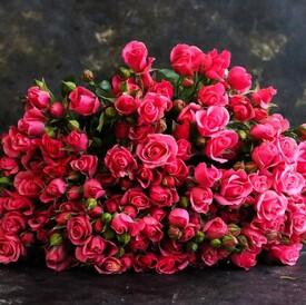Букет из 21 кустовой розы 50см